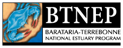 logo_btnep