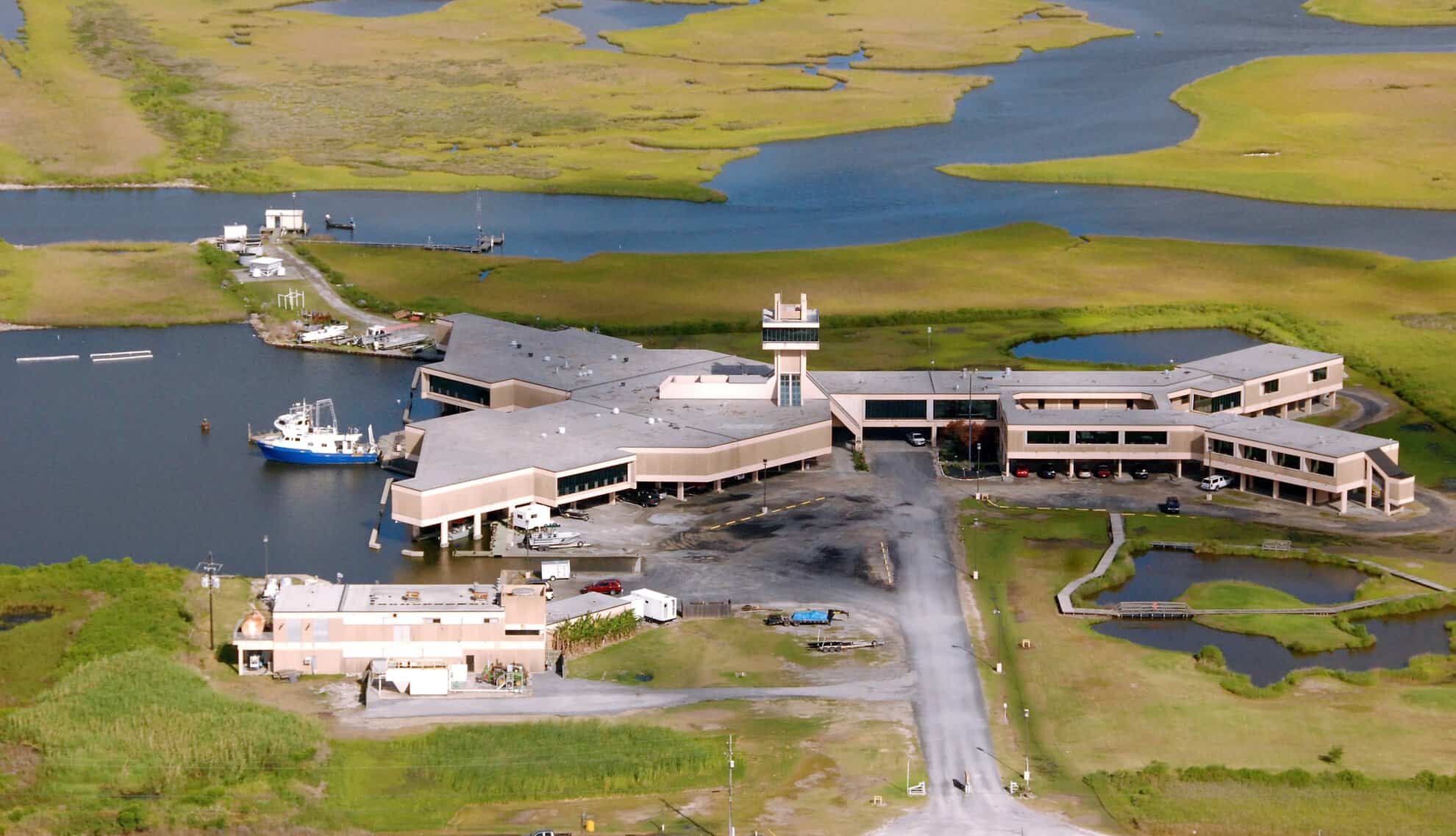 A LUMCON facility sits along wetlands
