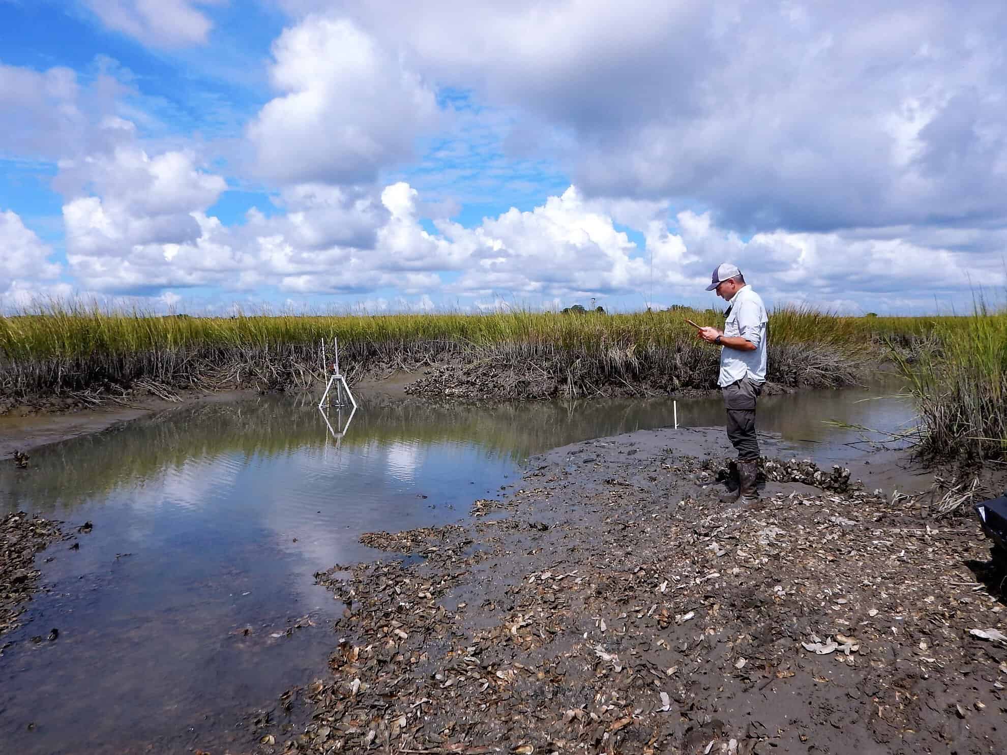 Guillaume working in the wetlands