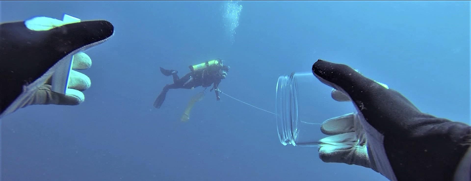 A scuba diver collecting things in a jar