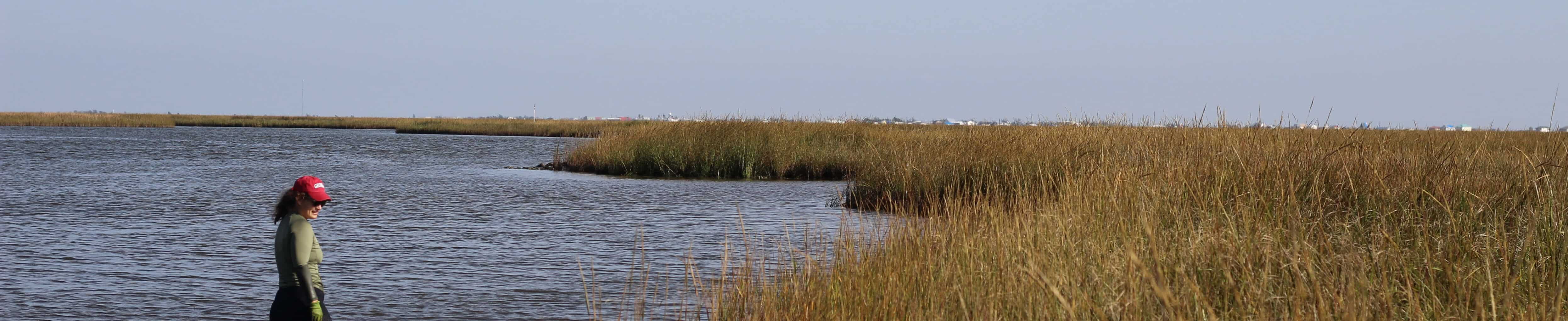 A woman and a marsh landscape