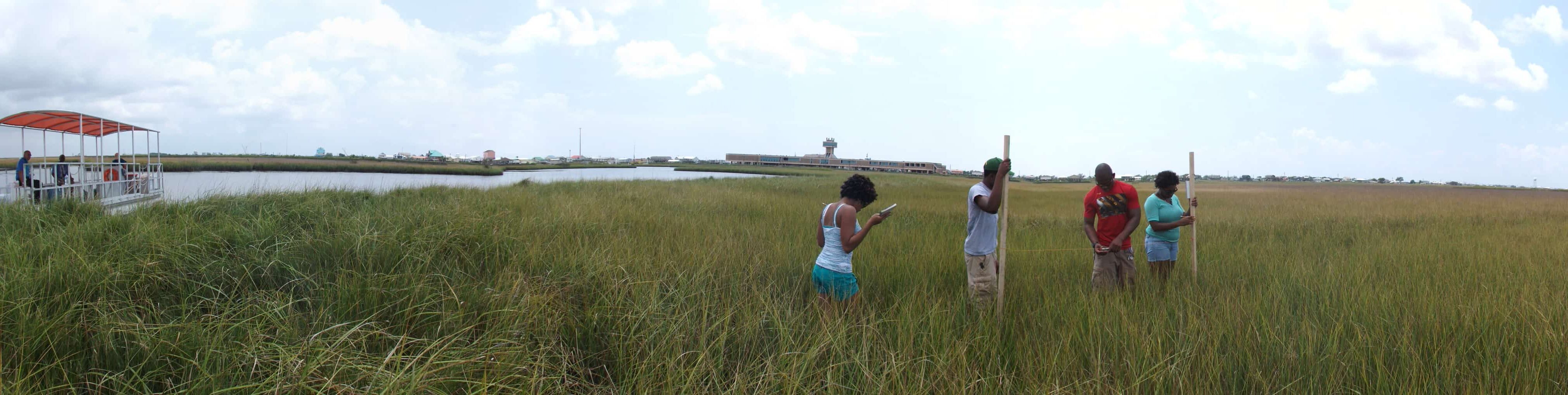 A group of people surveying the wetlands