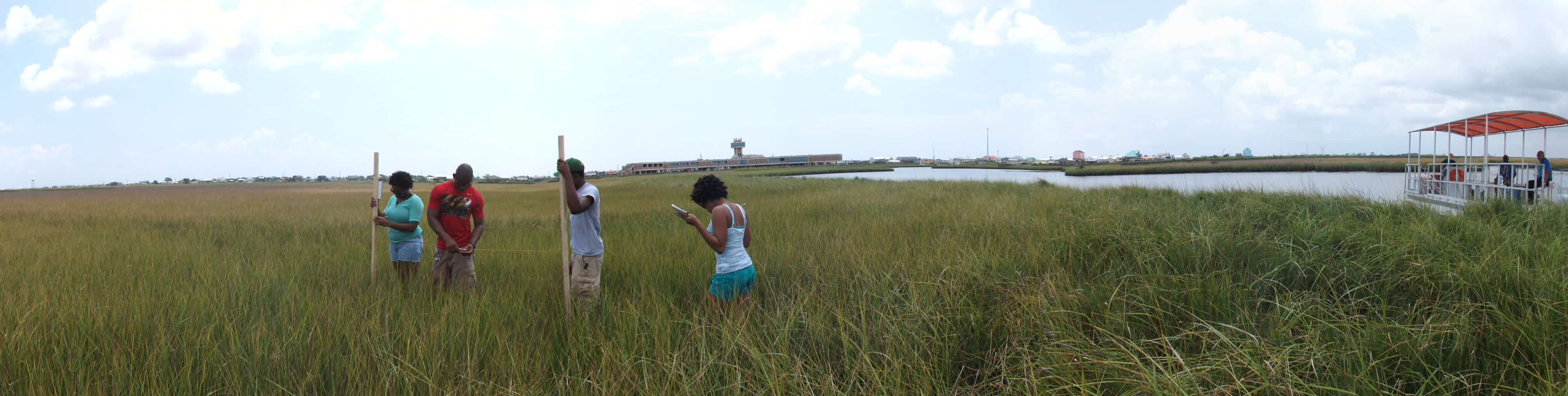 A group of people surveying the wetlands
