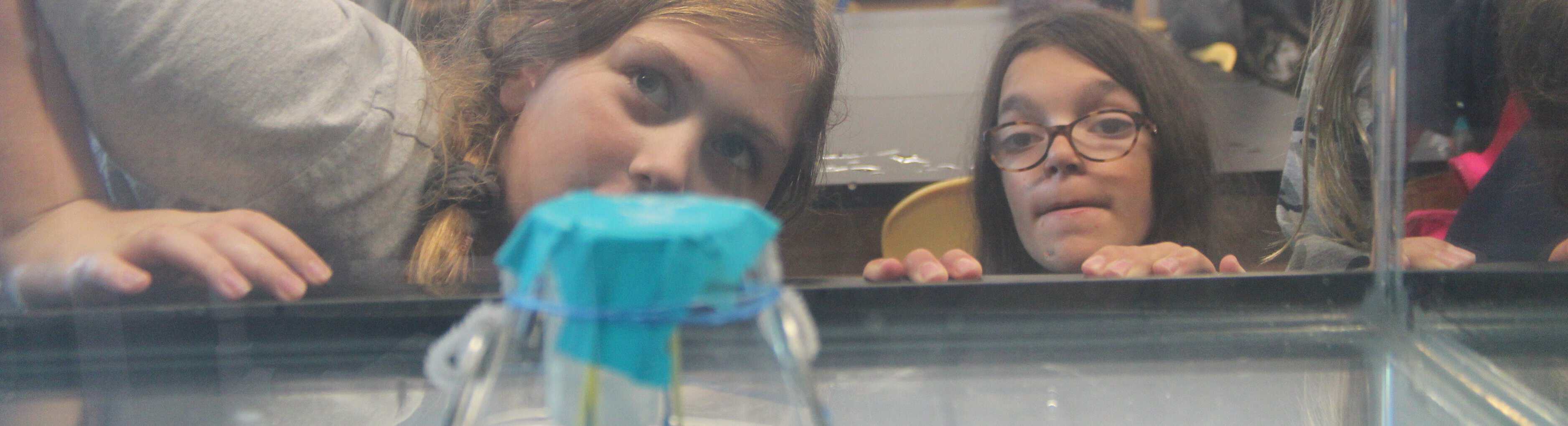 Two students viewing lab work up close