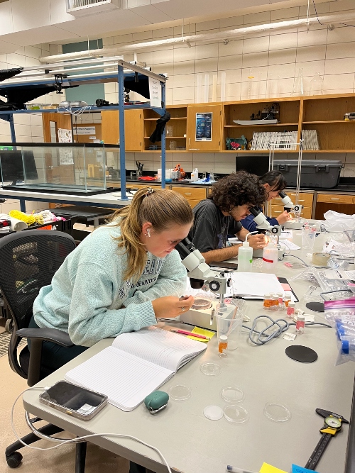 Photo shows three people in a research lab looking through microscopes at a table surrounded by notebooks and sample bottles.