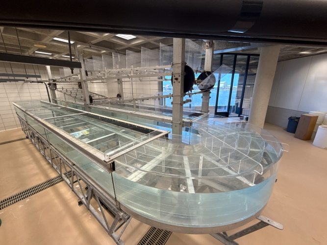 Photo shows a tank that looks like a racetrack. Above the tank are motorized paddles that push what around the tank to create current.