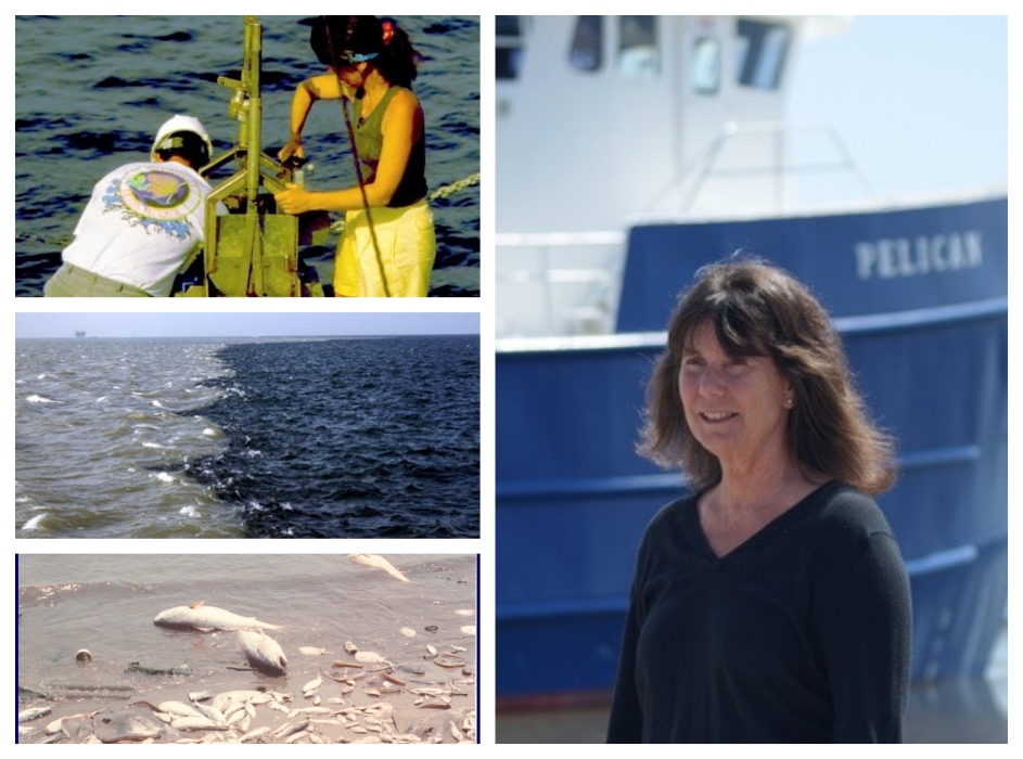 Photo group showing man and woman sampling on the deck of a vessel, water layers converging, and a fish kill.