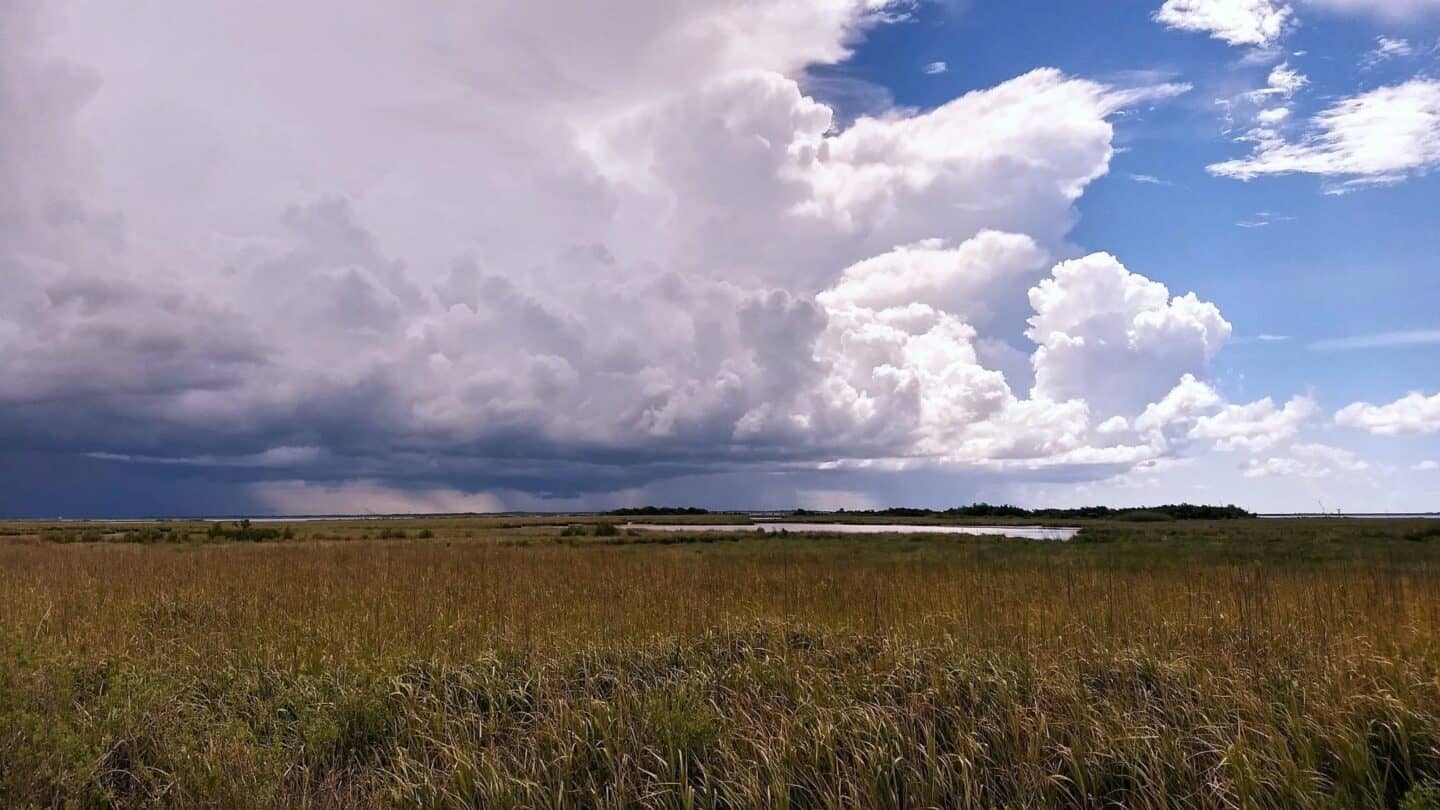 Clouds over marsh land