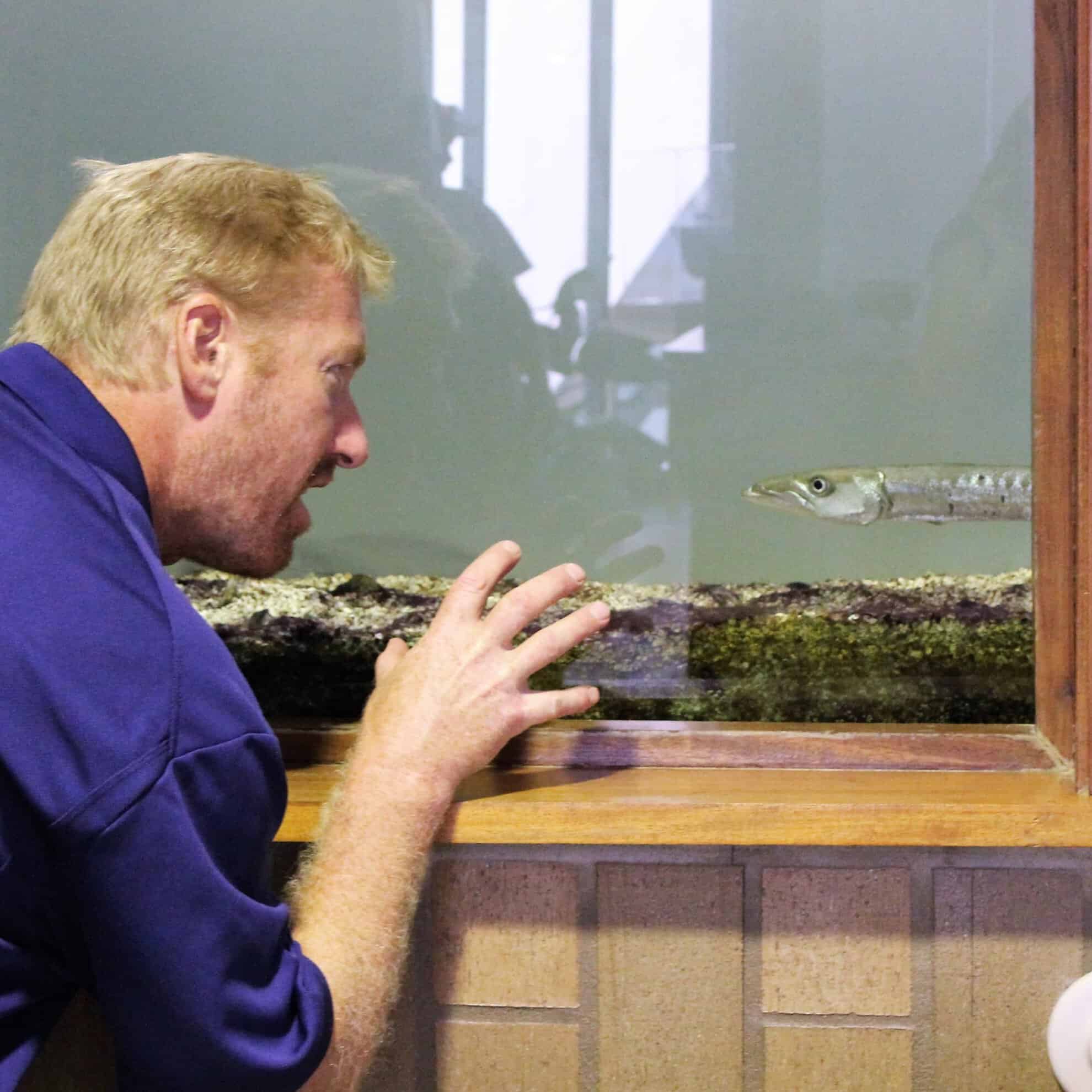 Researcher observing fish in an aquarium at LUMCON facility.
